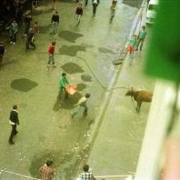 Argazkian, sokamuturra.
1970. hamarkadan jaiak ugaritu ziren Egia auzoan. Auzune bakoitzak bere jaiak antolatzen zituen: Maddalenak, Koruko Ama Birjina, Baztan, San Francisco Javier.
Baztan kaleak (garai hartan Etorbidea zena) nortasun propioa eta auzo-harreman oso aberatsak izan zituen hasieratik. Irailean, San Migelen inguruan, jai propioak antolatzen zituzten. Berbenak, musika emanaldiak, herri bazkaria… eta soka muturra. Argazki hauetan Baztango azken jaietako sokamuturra izango litzatekeena agertzen da. 1981ean jaiak desagertu ziren. Herriko beste jai batzuk ere desagertu ziren eta hurrengo urtean Porrontxoak sortu ziren.
Argazkian ikus daitekeenez, Baztanen tabernak eta denda txikiak zeuden. Kaleak bizitza propioa zuen.